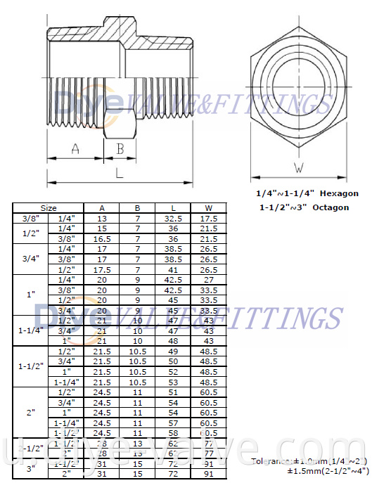 Stainless Steel Reducing Hex Nipple_